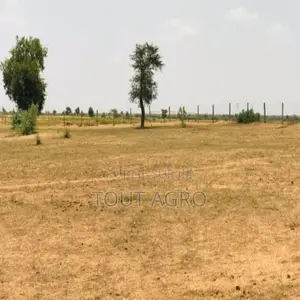 Photo - Terrain De 8 Hectares Vers Touba Toul