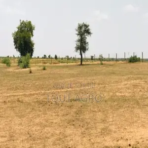 Terrain De 8 Hectares Vers Touba Toul