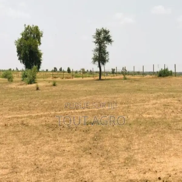 Terrain De 8 Hectares Vers Touba Toul