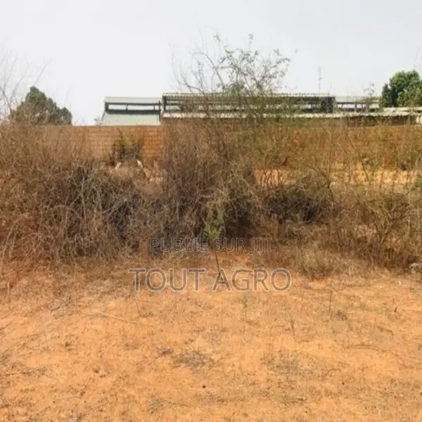 Terrain De 8343 M2 Vers Keur Moussa