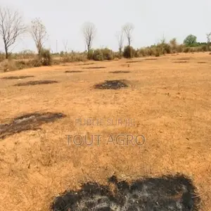 Terrain De 8343 M2 Vers Keur Moussa