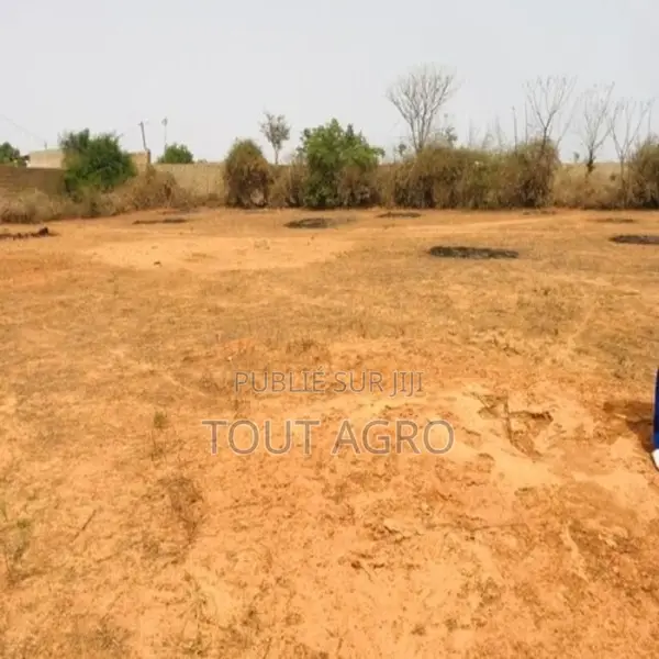 Terrain De 8343 M2 Vers Keur Moussa