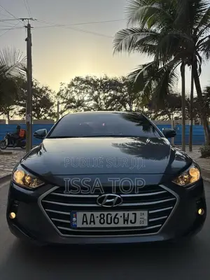 Photo - Hyundai Elantra 2016 Gris