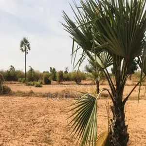 Photo - Terrain De 8761 M2 Vers Diass