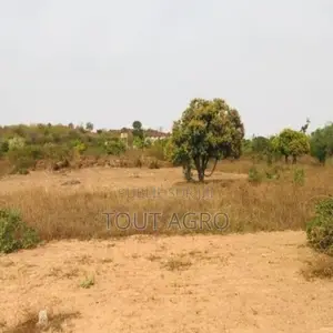 Terrain De 8761 M2 Vers Diass