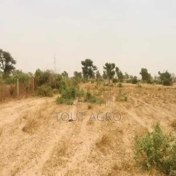 Terrain De 8771 M2 Vers Malicounda