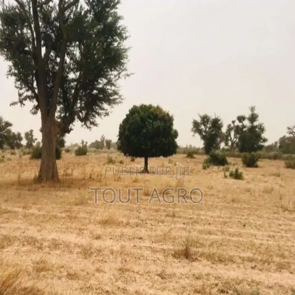 Terrain De 8771 M2 Vers Malicounda