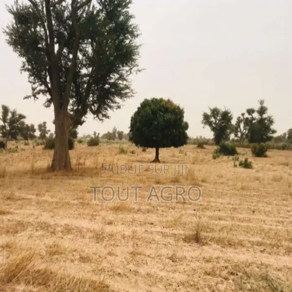 Terrain De 8771 M2 Vers Malicounda