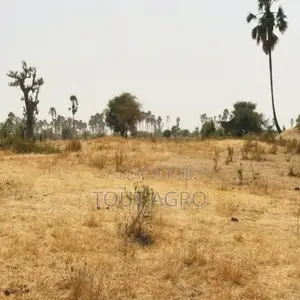 Photo - Terrain De 8997 M2 Vers Fimela