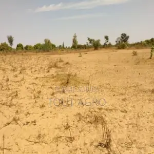 Photo - Terrain De 9 942 M2 Vers Sandiara