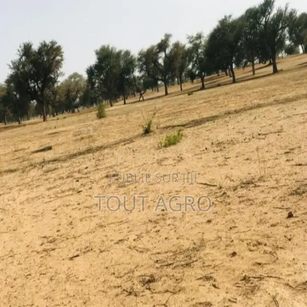 Terrain De 9070 M2 Vers Touba Toul