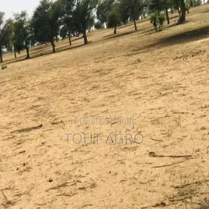 Terrain De 9070 M2 Vers Touba Toul