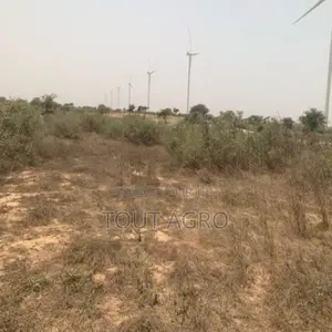 Photo - Terrain De 9276 M2 Vers Taiba Ndiaye