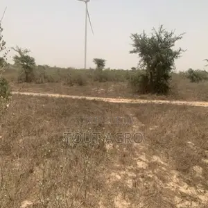 Terrain De 9276 M2 Vers Taiba Ndiaye