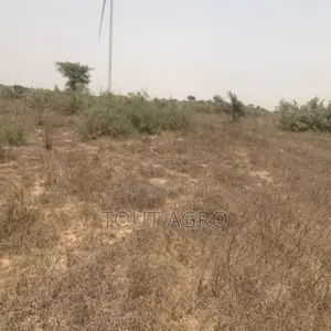Terrain De 9276 M2 Vers Taiba Ndiaye