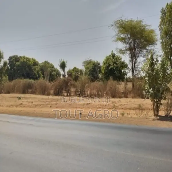 Verger Agricole De 1,07 Hectare Vers Sandiara