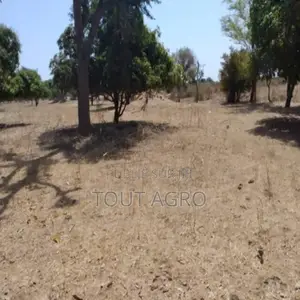 Verger Agricole De 1,07 Hectare Vers Sandiara