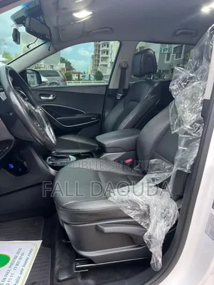 Hyundai Santa Fe 2018 Autre