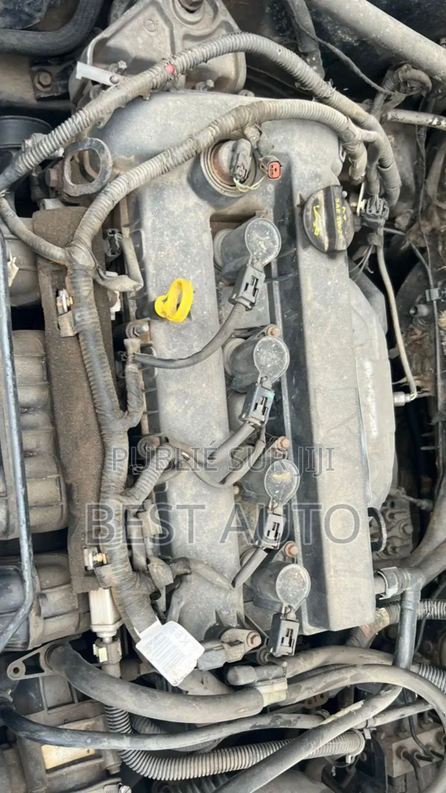 Ford Escape 2011 Bleu