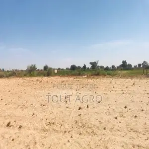 Photo - Verger Agricole De 8449 M2 Vers Fissel