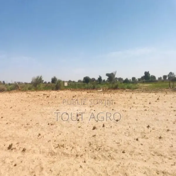 Verger Agricole De 8449 M2 Vers Fissel