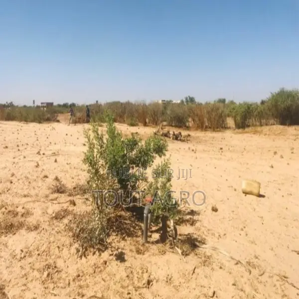 Verger Agricole De 8449 M2 Vers Fissel