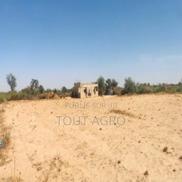 Verger Agricole De 8449 M2 Vers Fissel