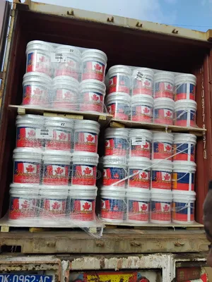 Photo - Peinture Canadienne