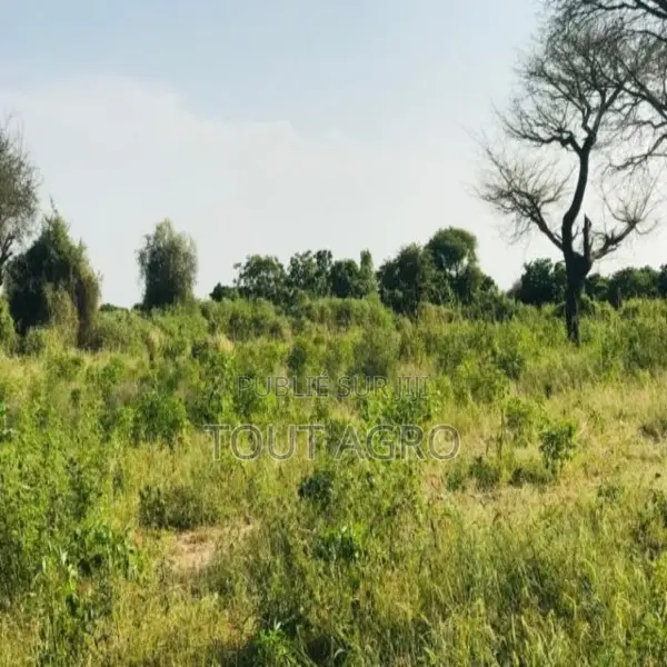 Verger De 1 Hectare Vers Pire