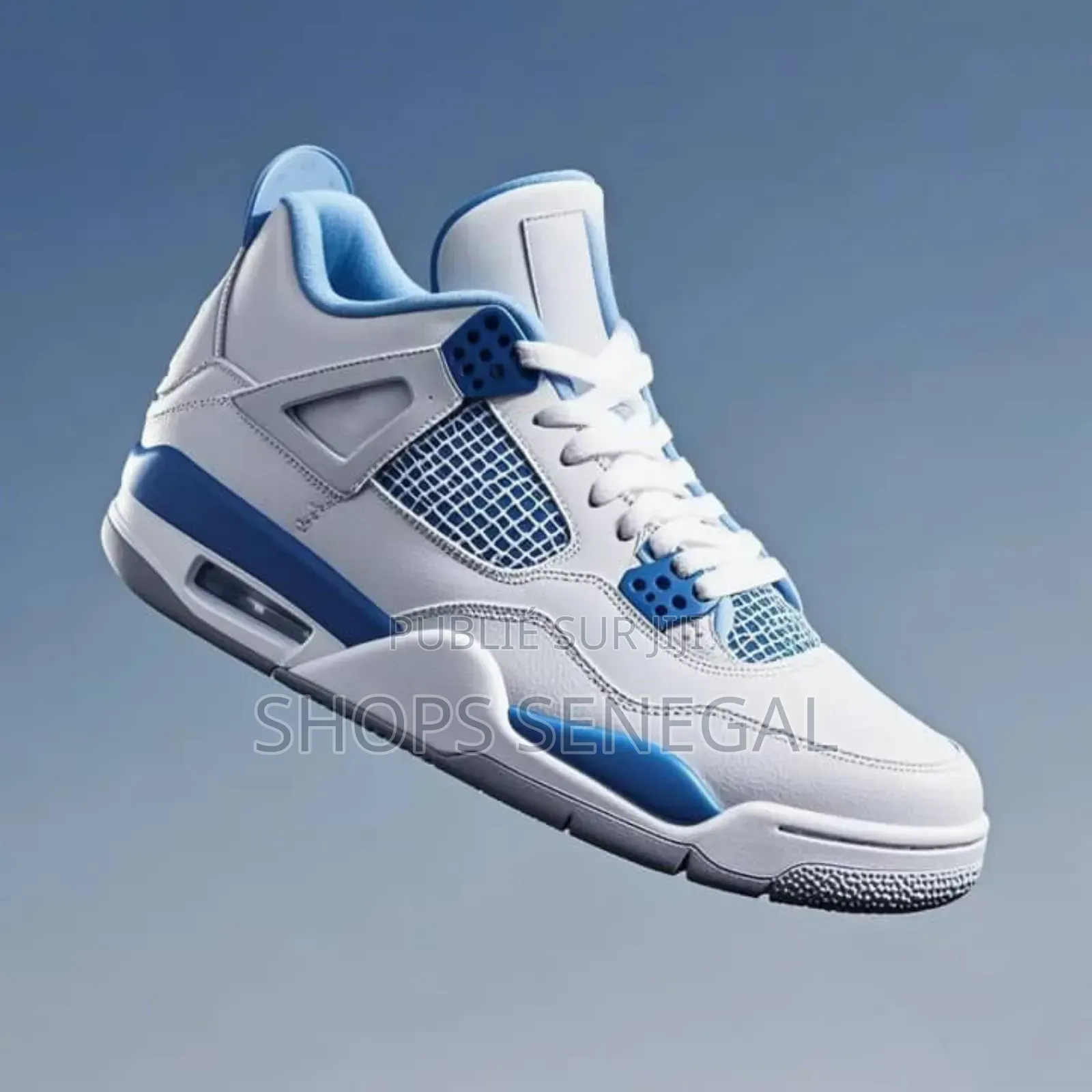 Air Jordan 3 Premium Style