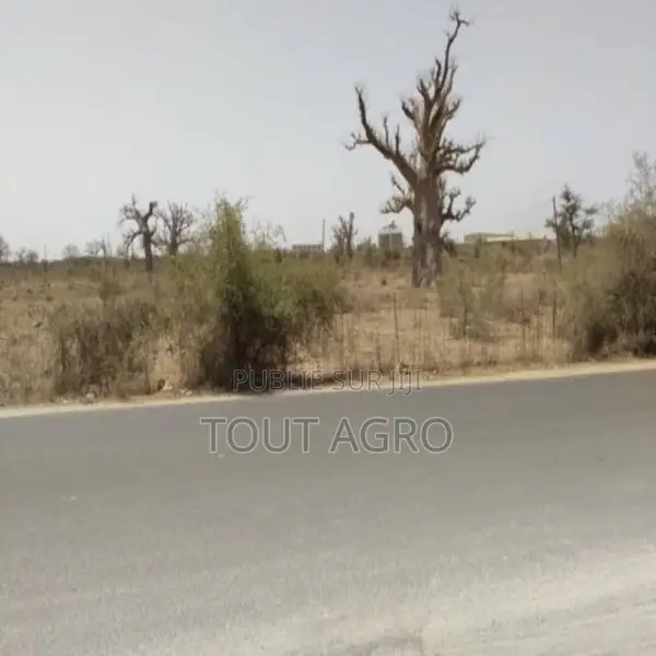 Verger De 3,18 Hectares Vers Keur Moussa
