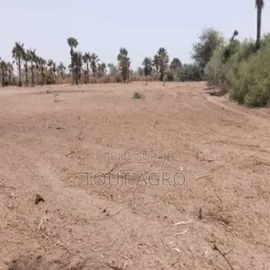 Photo - Verger De 3,31 Hectares Vers Fandène