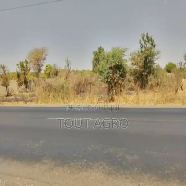 Verger De 3106 M2 Vers Sandiara