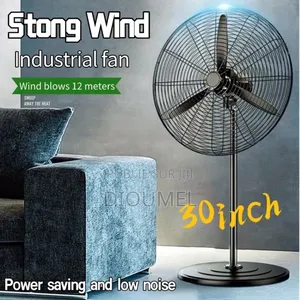 Ventilateur Industriel Sens 30"