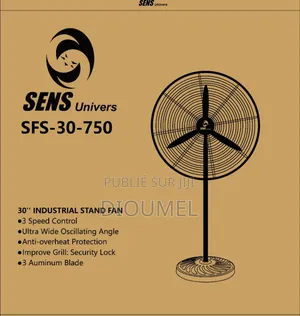 Ventilateur Industriel Sens 30"