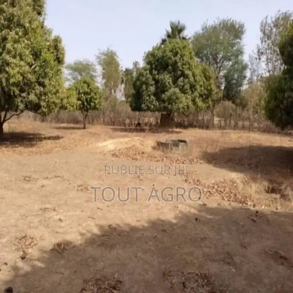 Verger De 3160 M2 Vers Tataguine