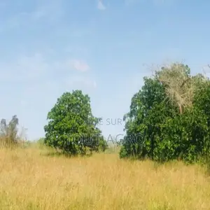 Verger De 3407 M2 Vers Pire