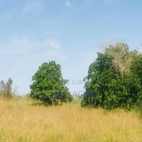 Verger De 3407 M2 Vers Pire