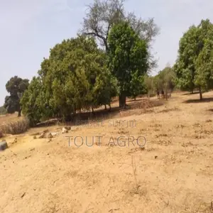 Verger De 4553 M2 À Diouroup