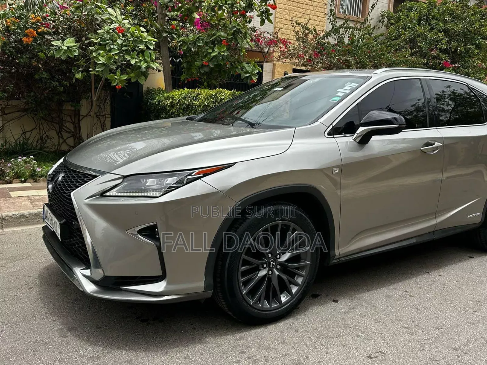Lexus RX 450h 2019 Autre