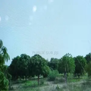 Verger De 5 Hectares Vers Pire