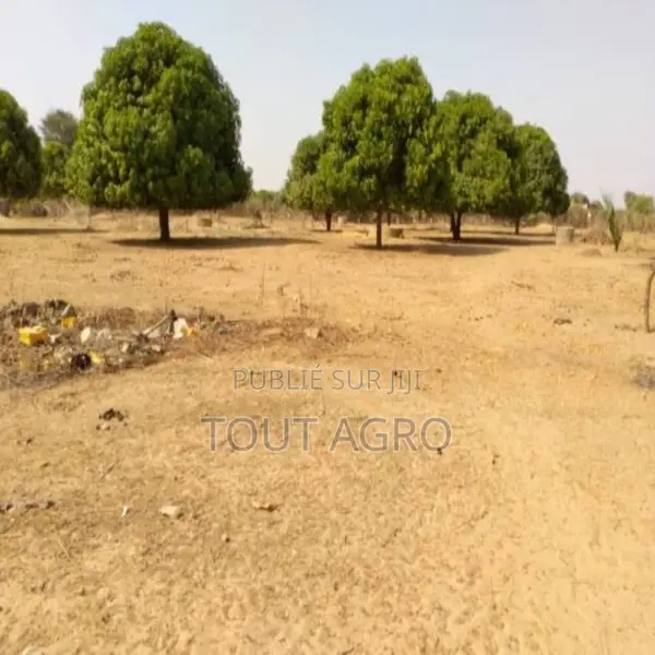 Verger De 7055 M2 Vers Tataguine