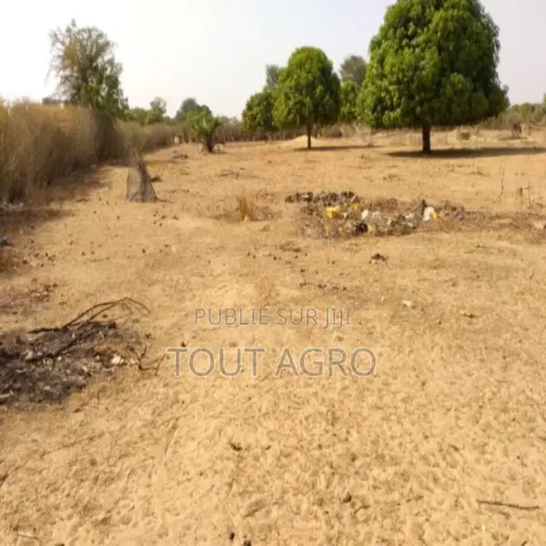 Verger De 7055 M2 Vers Tataguine