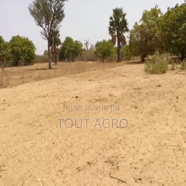 Verger De 7116 M2 Vers Tataguine