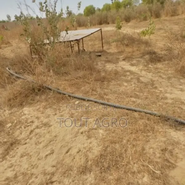 Verger De 8092 M2 Vers Darou Khoudoss