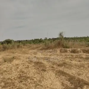 Verger De 8092 M2 Vers Darou Khoudoss