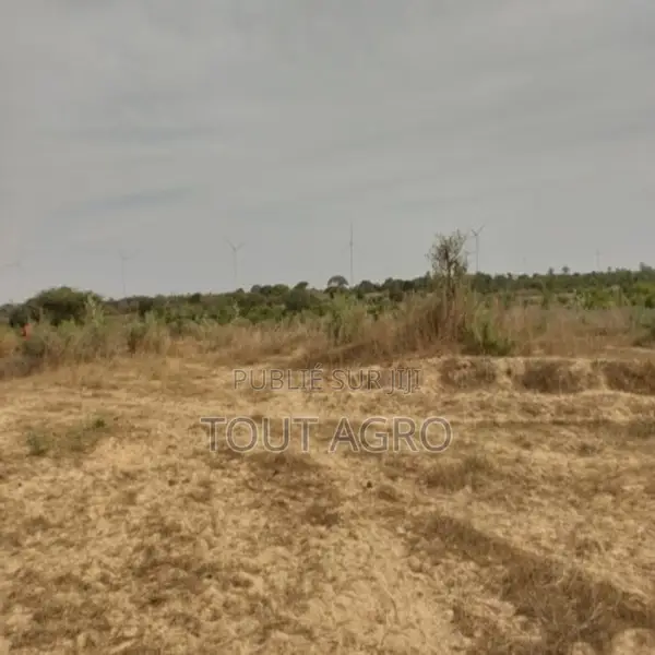 Verger De 8092 M2 Vers Darou Khoudoss