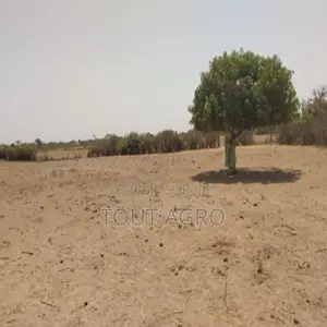 Verger De 9882 M2 Vers Tataguine