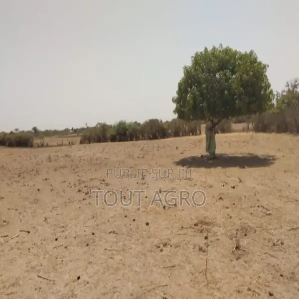 Verger De 9882 M2 Vers Tataguine