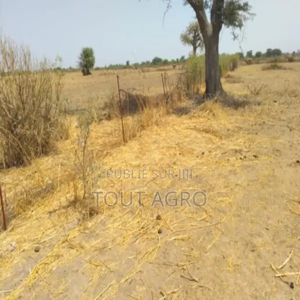 Verger De 9882 M2 Vers Tataguine